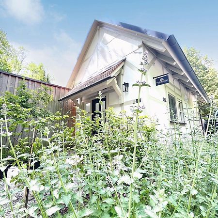 Tauberchalet I Private Spa, Garten Und Kaeltekick I 10Min Walk To Historic Old Town โรเทนบวร์ก อ็อบ แดร์เทาเบอร์ ภายนอก รูปภาพ